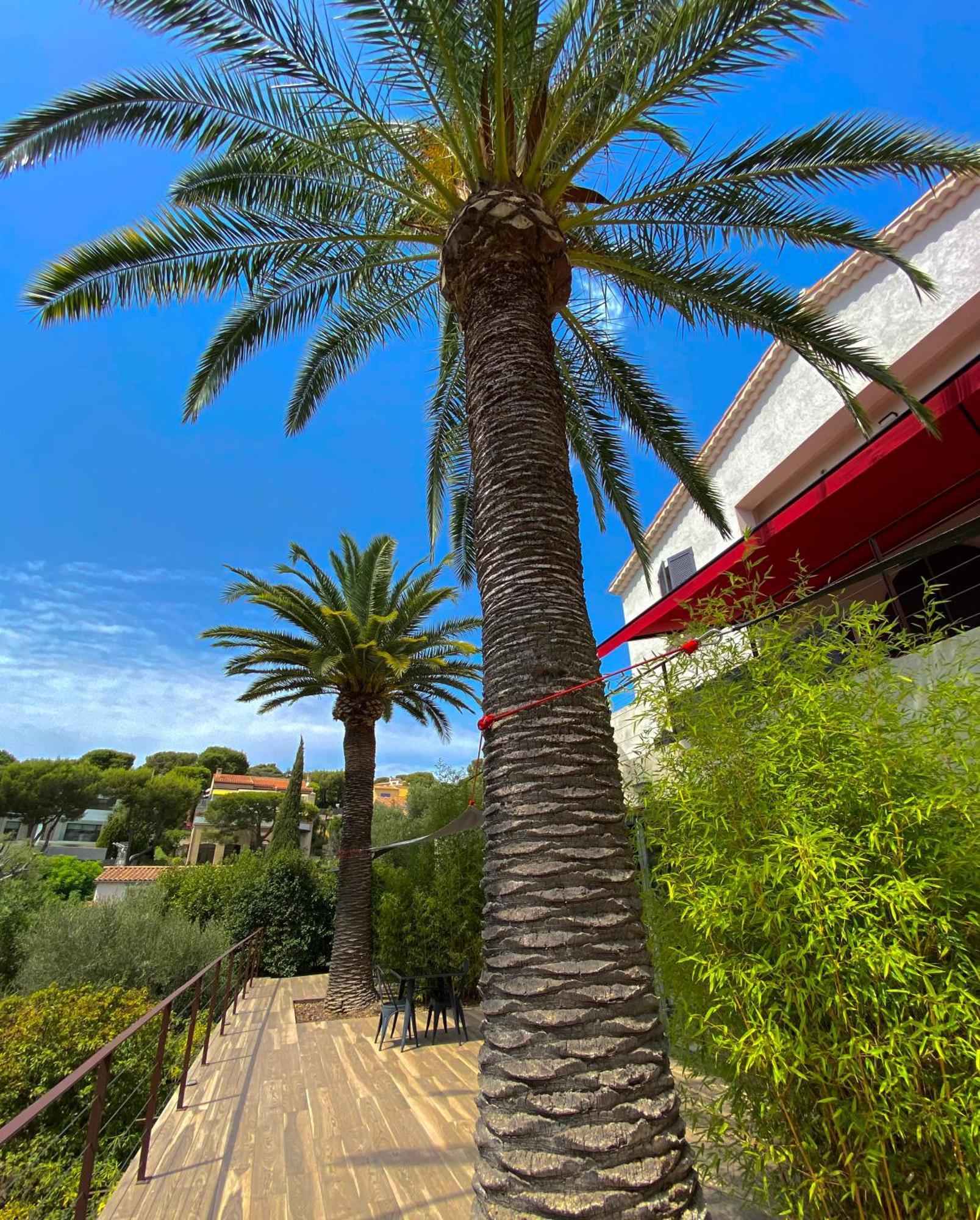 The Address Gasthuis Cassis